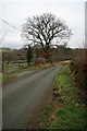 Country lane at Garth Heilyn