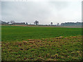 Over fields to Balterley Hall