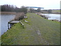 Williamthorpe Ponds Nature Reserve