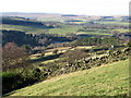 Pastures and woodland near Old Town