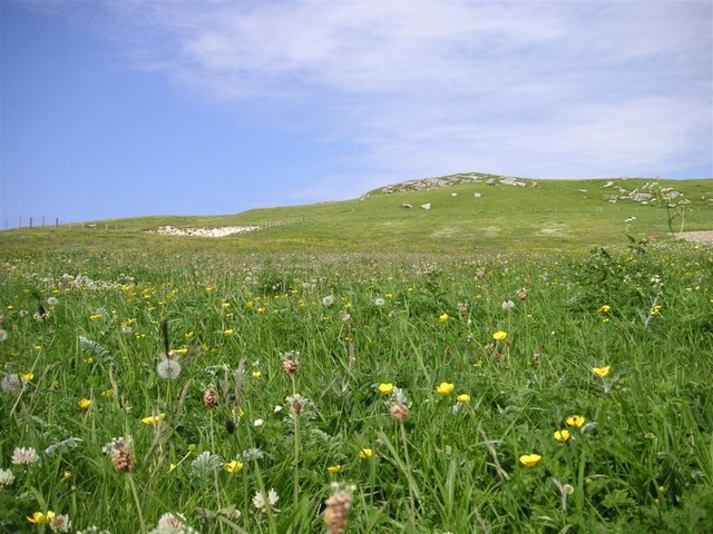 Machair,  on the headland west of Caolas, Vatersay