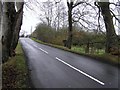 Road near Galgorm