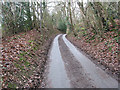 Country road near Fairoaks Farm