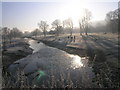 Dogwalking by the River on Boxmoor