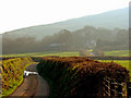 Coedcefnlas Uchaf Farm