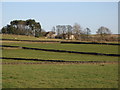 Pastures below High Sunnyside