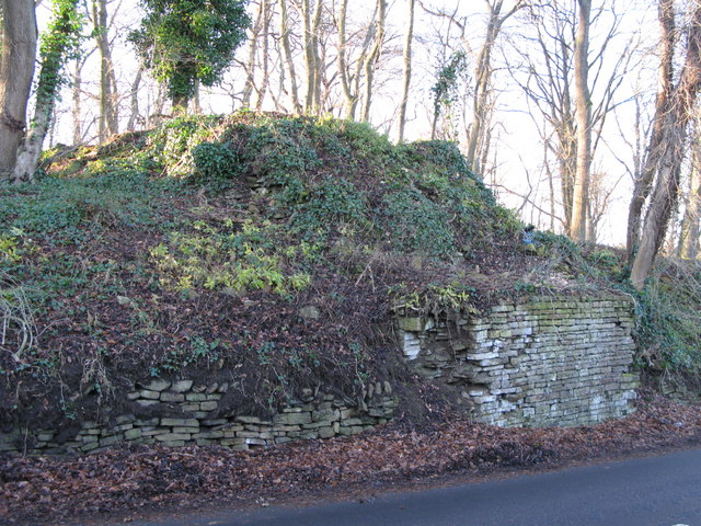 Remains of bridge carrying the old lead smelting flue over the B6295