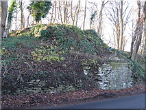 NY8356 : Remains of bridge carrying the old lead smelting flue over the B6295 by Mike Quinn