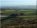 Outfield Farm, Abernyte