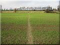 Looking NW along the Stour Valley Walk