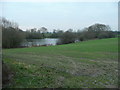 Folly Pool in mid-winter