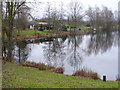 Halliford Mere