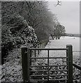 Snowy field