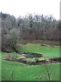 Meanders on the Woolleigh Brook