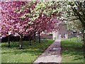 Path leading from Muir Road, Forfar