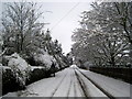 Snow in Belfast [13]