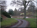 Driveway to Stanley Hall