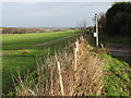 View NE from Roman Way, Elvington