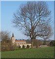 TL9758 : Field and tree south of Rattlesden, and a glimpse of the church by Andrew Hill