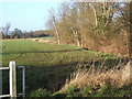 Field and line of trees north of Hightown Green