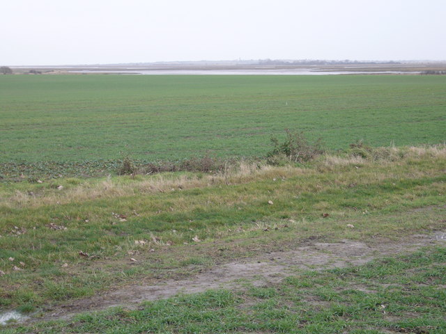 Farmland close to Hamford Water estuary