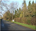 Lane at Hightown Green, hedgerows backed by trees