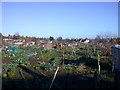 Fairfax Road allotments