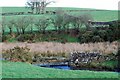 Fence spanning the burn