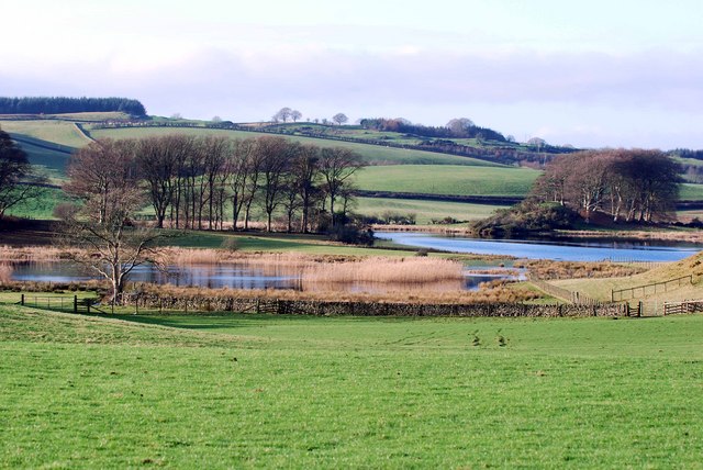 Field next to Loch Ken, Crossmichael