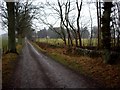 Track to the Kennels, Glenericht