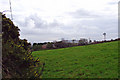 Smallholding on the slopes of Carn Wen