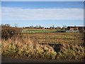 Paddock with Helmdon timber yard in the distance