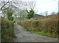 Lane to Trehenry