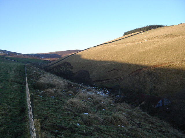 Looking across the Violet Burn to Young Bush Wood on the summit