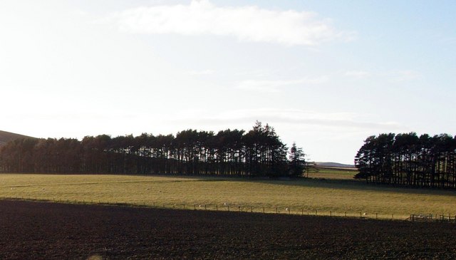 Farmland and Woodland near Dryburn, Glen Ogilvy