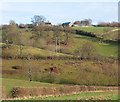 Hillside  near Crossington Farm