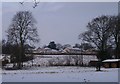 Snowy paddocks, Rosemount