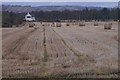 Hay bales at Rosemount