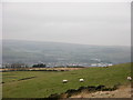 Horncliffe Height with reservoirs of Grane Valley behind