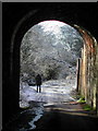 SJ6569 : Under the old railway arch, by Caravan Park, Moulton by Carys Brewster