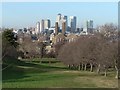 TQ3977 : Greenwich Park: Canary Wharf view by Chris Downer