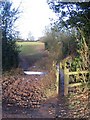 Wooden footbridge