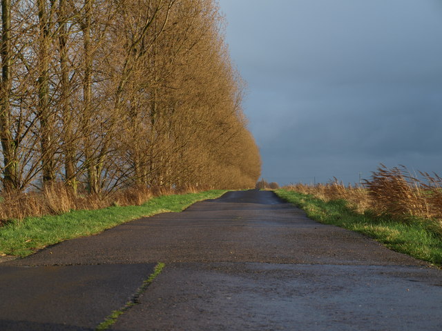 Bumpy  Road
