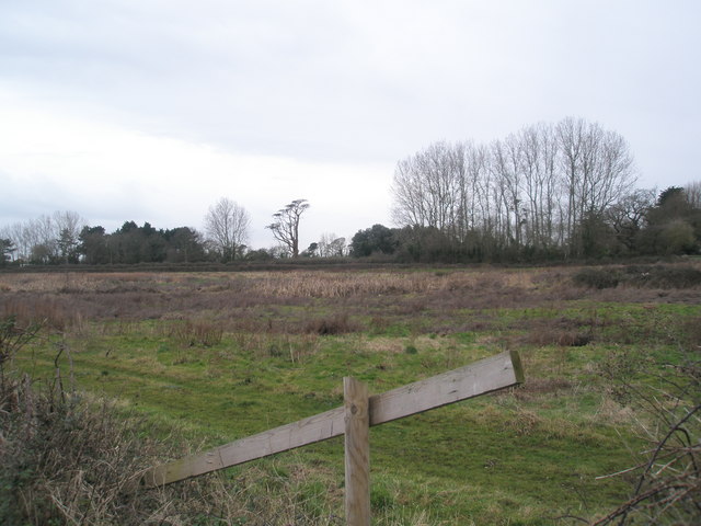 Field at start of Nutbourne coastal footpath