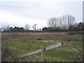 Field at start of Nutbourne coastal footpath