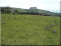 Hill pasture near Hope Park