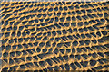 SD3025 : Honeycomb Sand by Mr T