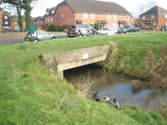 Ducks by the Old Bridge