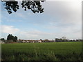 Looking from Delling Lane across field to the main road