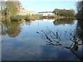 Colwick Hall Lake